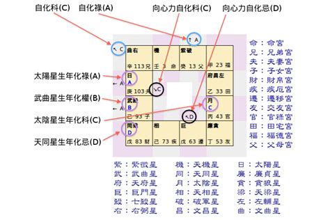 科技紫微星座|科技紫微網：全球最大算命網站，張盛舒創辦